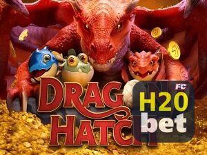 H20BET PIX instantâneo Brasil - Depósito e saque em minutos 24/7